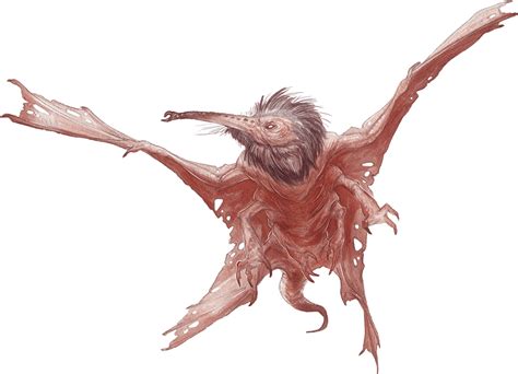 stirges dnd 5e